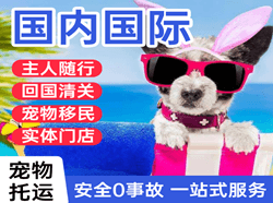 长沙航空物流国际宠物托运 【国